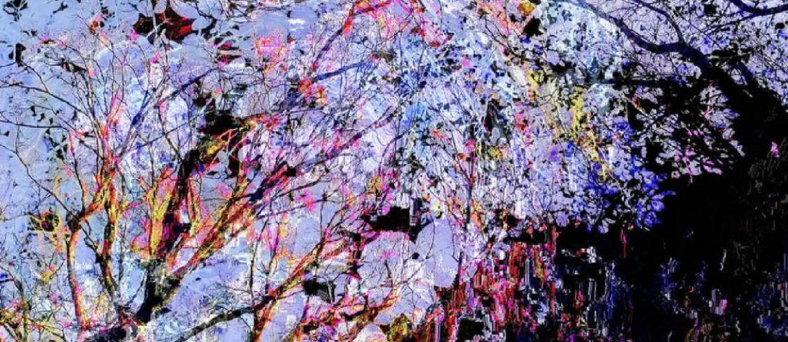 Visuel d'illustration