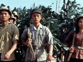 loinduvietnam affiche