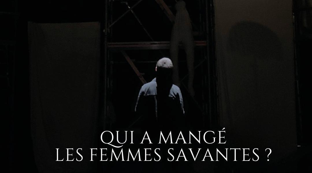 Bannière - Qui a mangé les femmes savantes