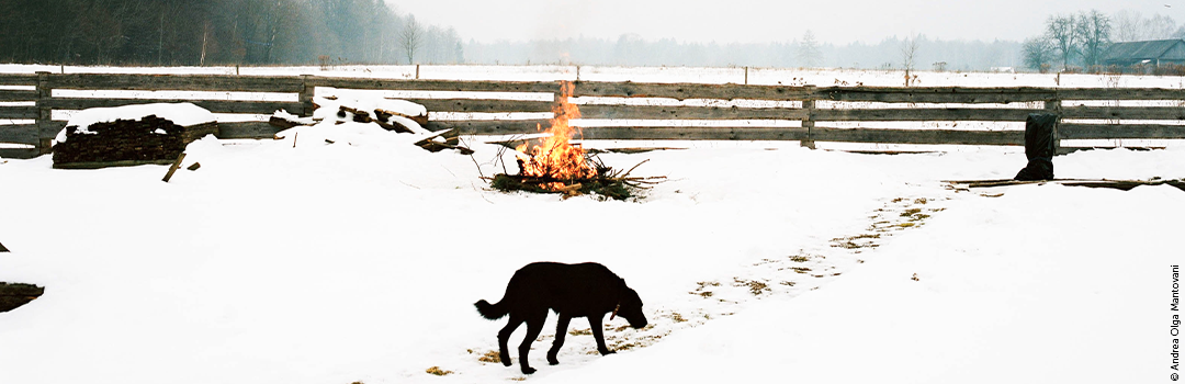 banniere s'enforester